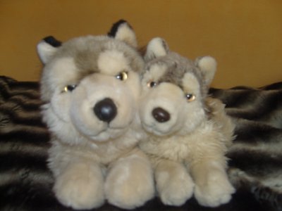 wolf plush love1.jpg