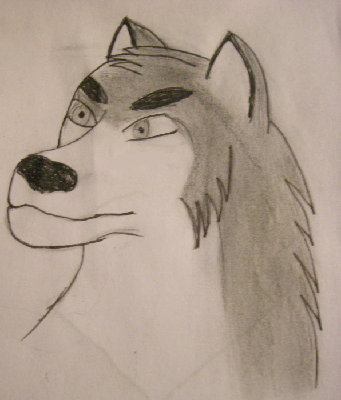 loup1.JPG