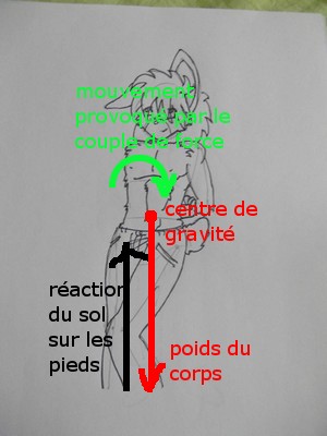 bild00050.jpg