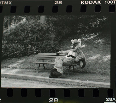 2010-09-05_00h20min03s_1.jpg