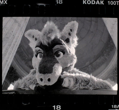 Luciole_100TMX-2-18.jpg
