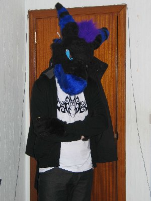 Fursuit-Tag-4.jpg