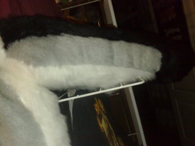 14022011225.jpg