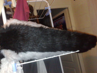 14022011226.jpg