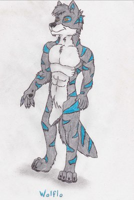 wolflo.jpg