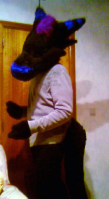 SP_A0531.jpg