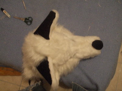 DSCF0723.JPG
