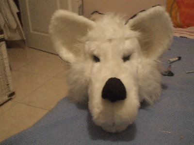 DSCF0724.JPG