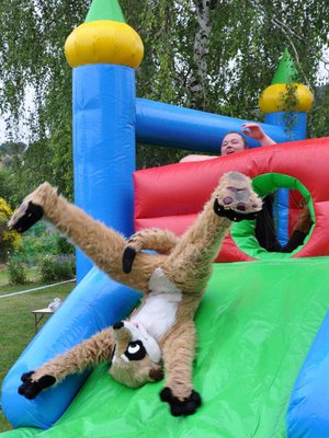 meerkat castle Tim.jpg