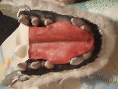 DSCF0735.JPG