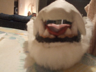 DSCF0738.JPG
