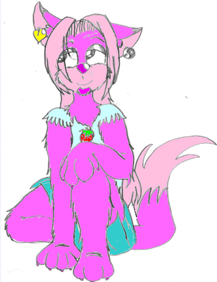 Cido.png