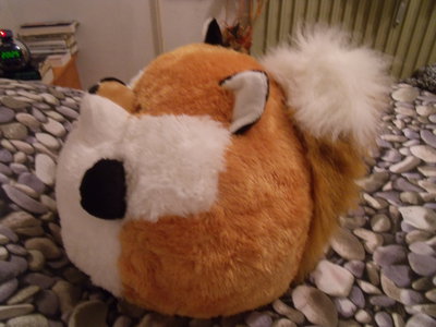 DSCF0003.JPG