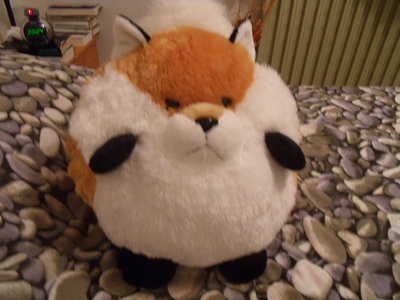 DSCF0002.JPG