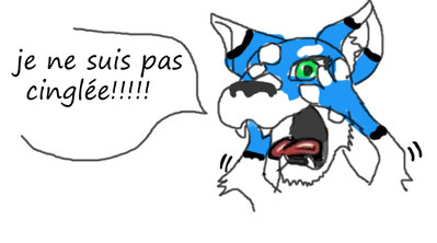 vb0fr18yc copie.jpg