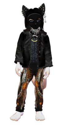 saphyr tenue.png