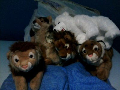 IMG001.JPG