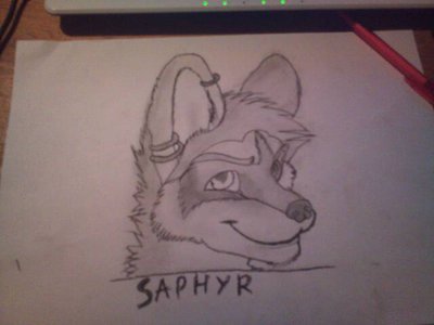 saphyr dessin 001.jpg