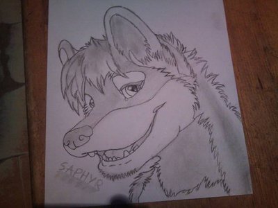 saphyr dessin 002.jpg