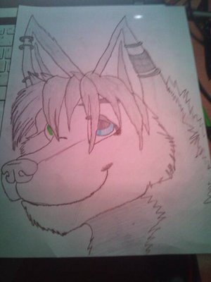 dessin saphyrr 2.jpg