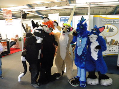 fursuit mantes la jolie 045.jpg