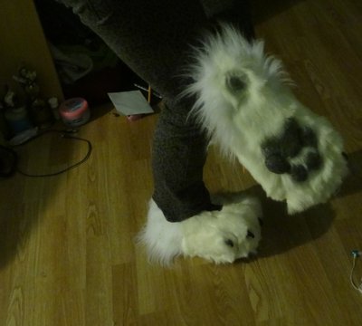 DSC01871.JPG