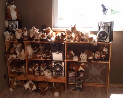 Collection.jpg