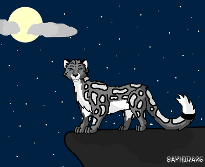 SnowLeopardInNignt.PNG