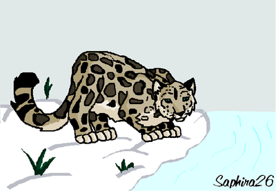 ReallySnowLeopard.PNG
