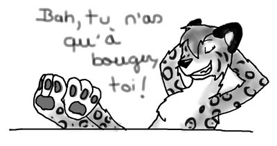 CoolSnowLeopard.jpg