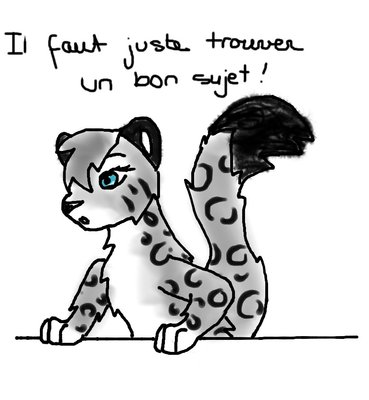 SurprisedSnowLeopard.jpg