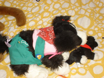 Alan Bordercollie.JPG