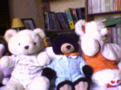 bears.jpg
