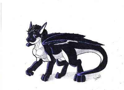 habaxin colo.jpg