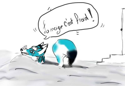 d.jpg (40.93 KIB) Vu 8189 fois d.jpg