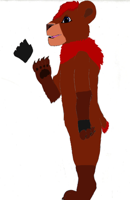 fursokodaprofil.png