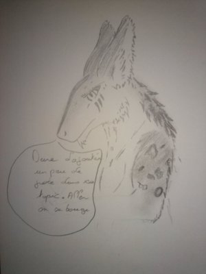0003.jpg