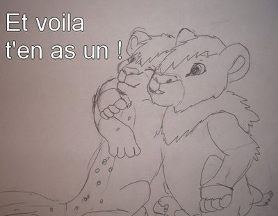 saphikoda.jpg