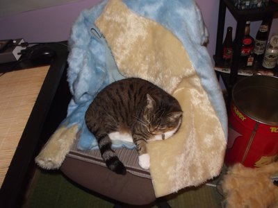 DSCF8501.JPG