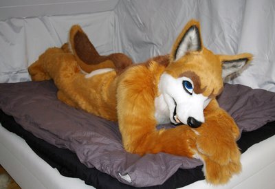1363033935.sweawolf_bild3_fa.jpg