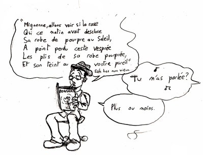 Ronsard_0001.jpg