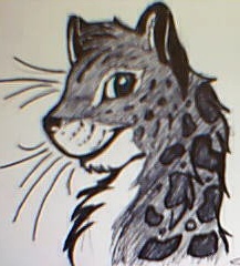 SnowLeopard.jpg