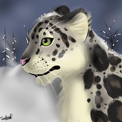 SnowleopardCold.png