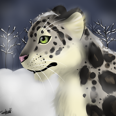 SnowleopardCold.png