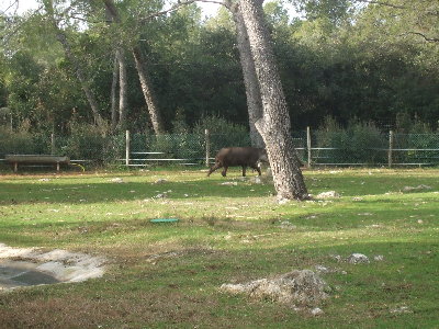DSCF0770.JPG