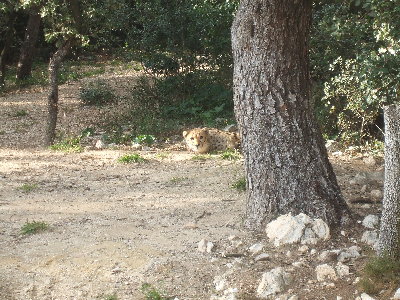 DSCF0774.JPG