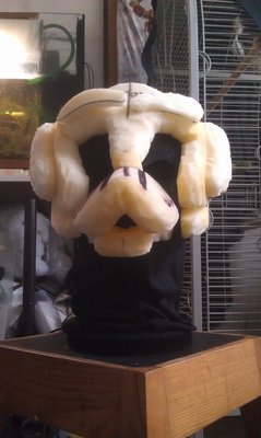 IMAG0812.jpg