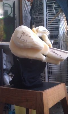 IMAG0813.jpg