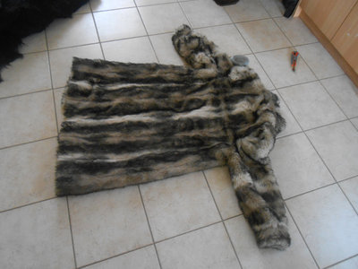 DSCN0256.JPG