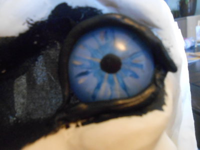 eye2.jpg